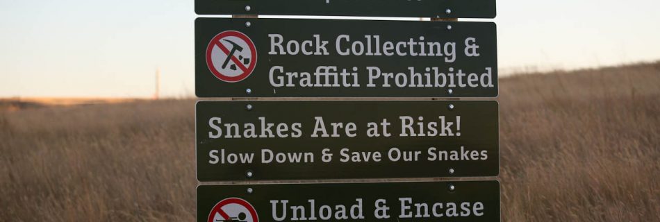 Achtung: Schlangen sind gefährdet. Langsam fahren.